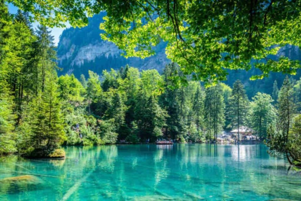 Bellevue & Classy Mountain View Apartment Kandersteg Luaran gambar