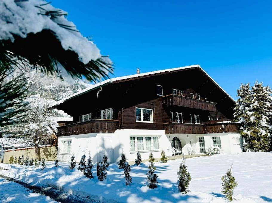Bellevue & Classy Mountain View Apartment Kandersteg Luaran gambar